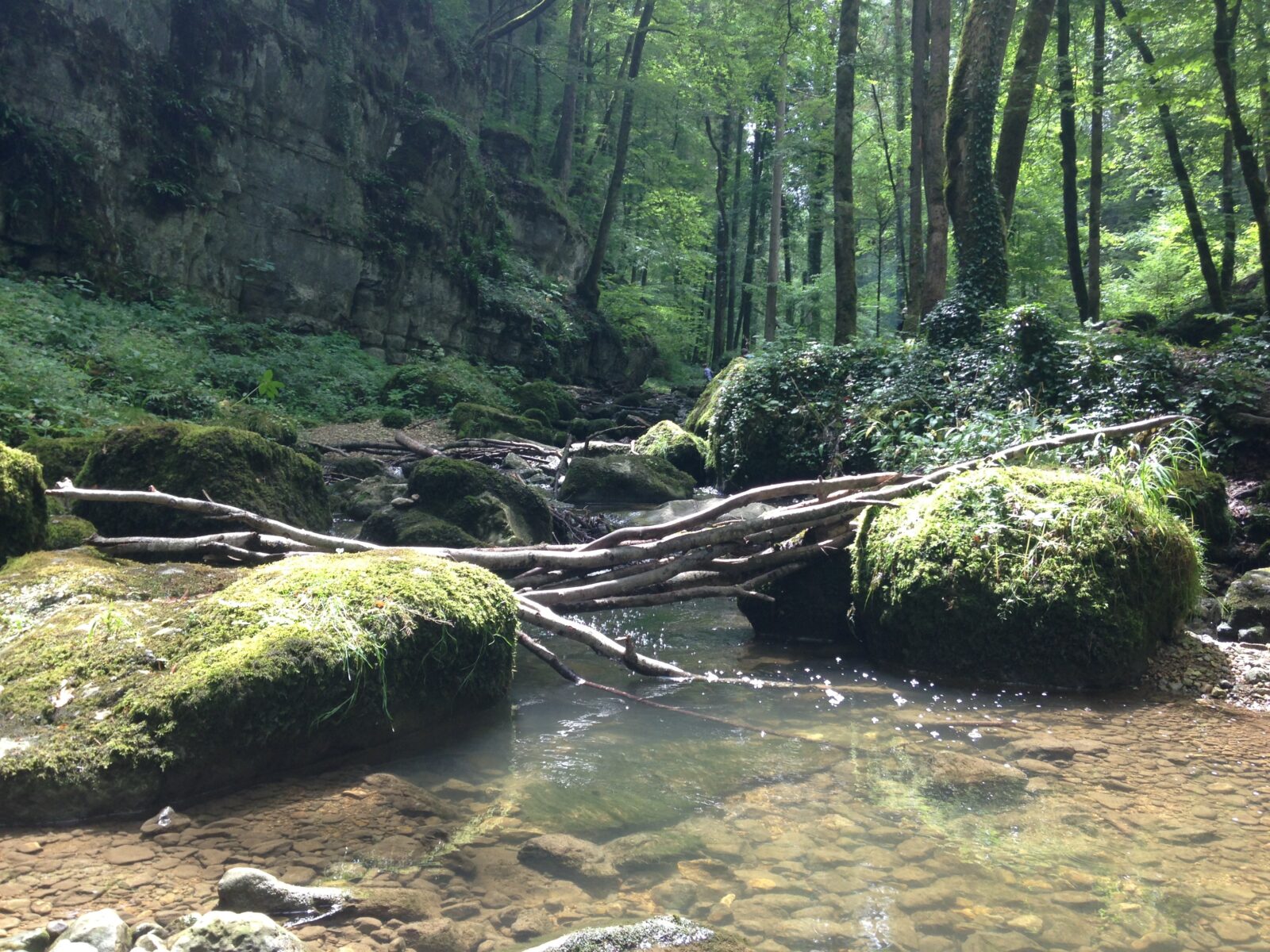 Chaltbrunnental (bei Brislach)